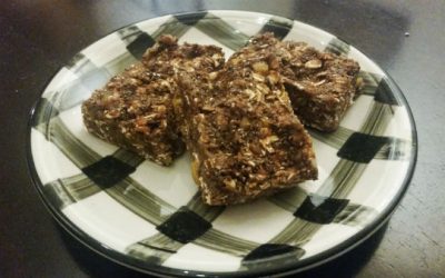 Protein Power Bars